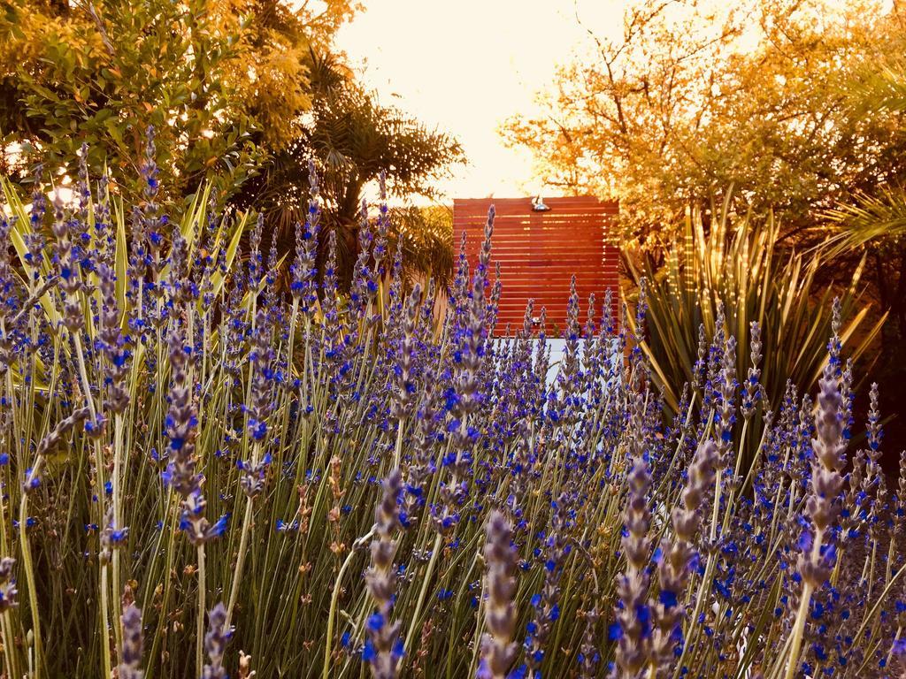 Pictures Guest House Boutique Hotel Oudtshoorn Bagian luar foto